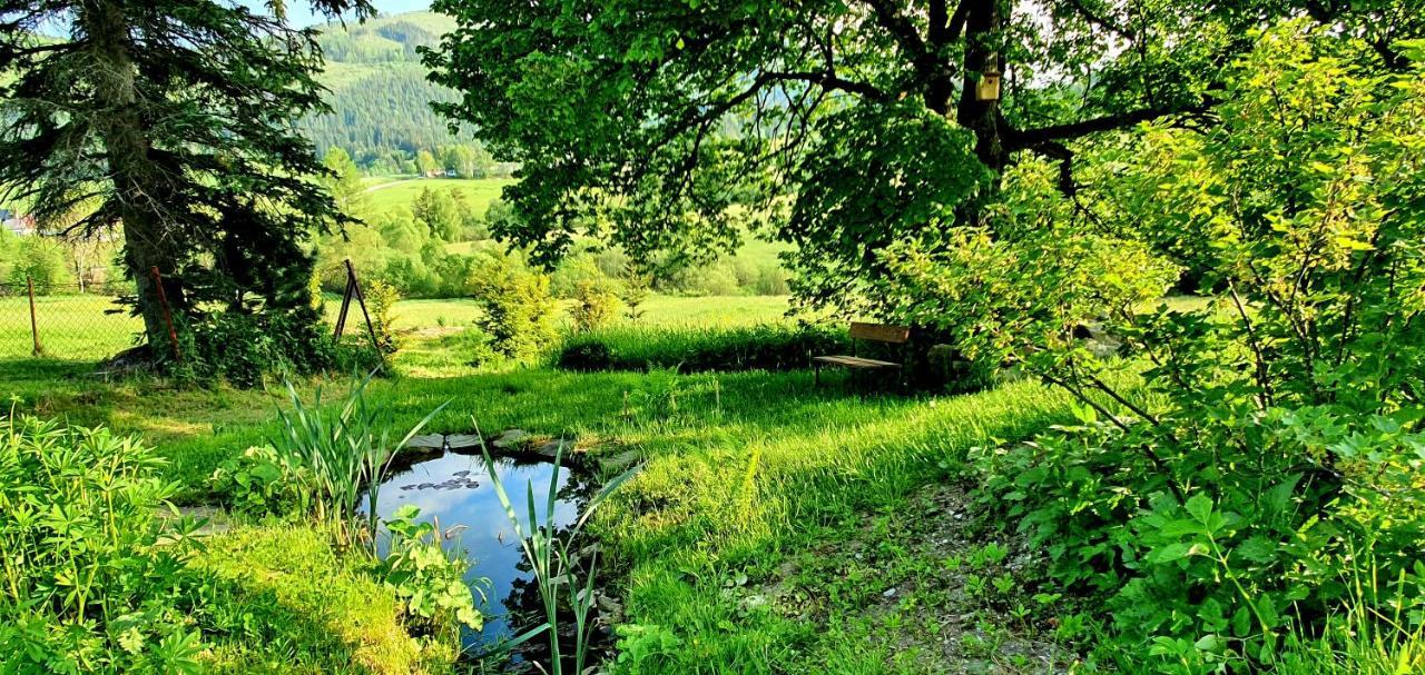 Vila Drevenica Borovianka Velke Borove Exteriér fotografie