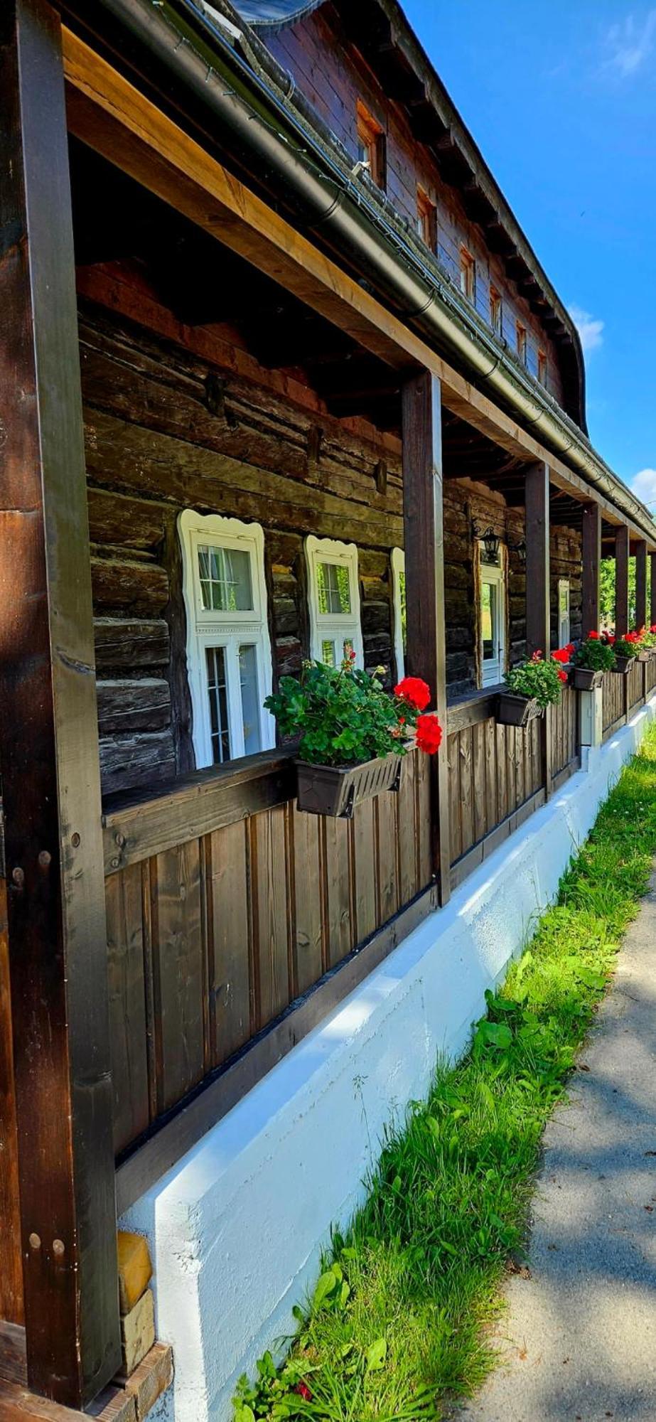 Vila Drevenica Borovianka Velke Borove Exteriér fotografie